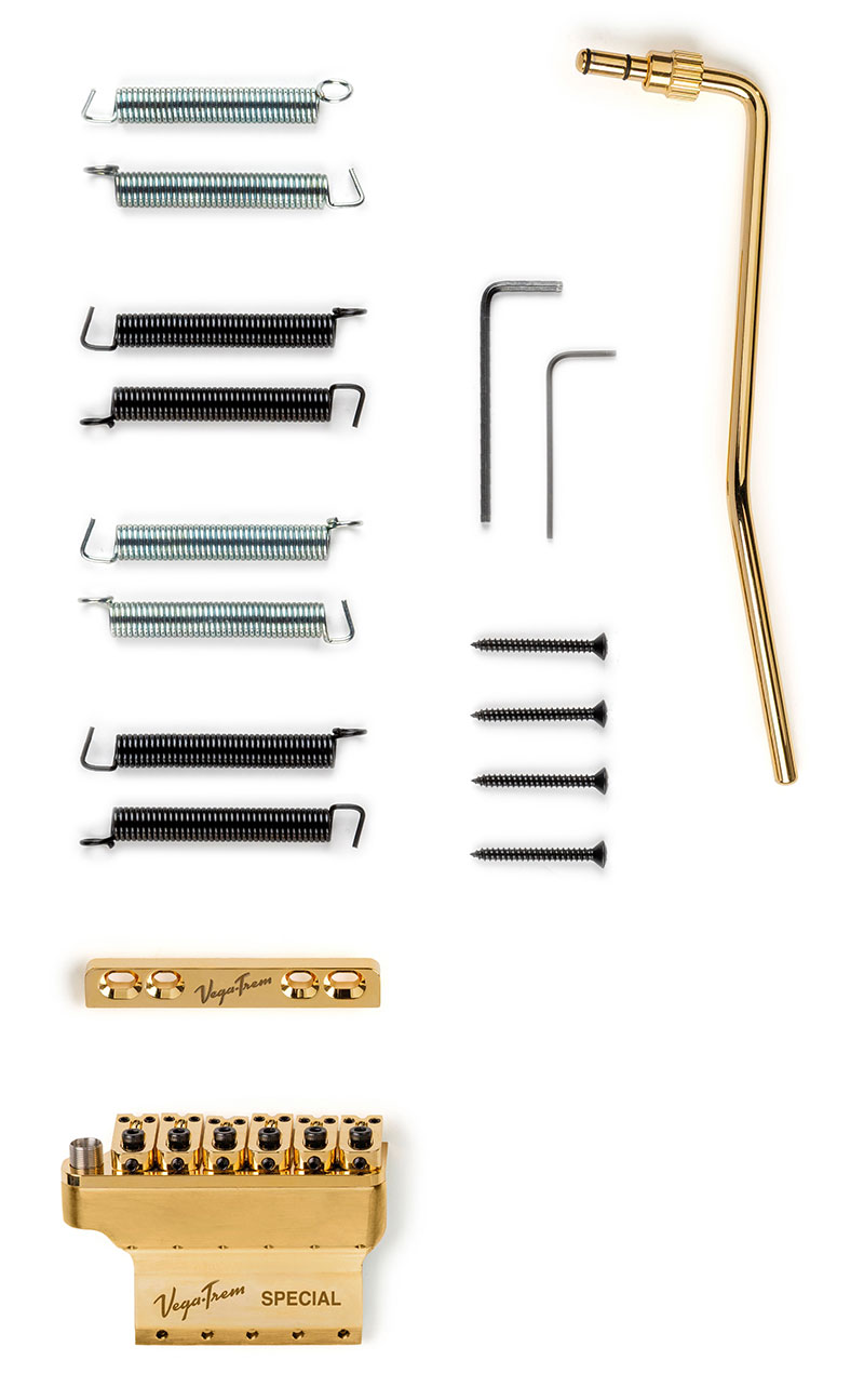 VT1 Special standard Gold gauchers – Image 2