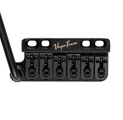 VT1 Special standard Black gauchers
